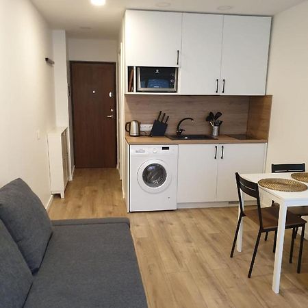 Studio Rent In Zarasai Extérieur photo