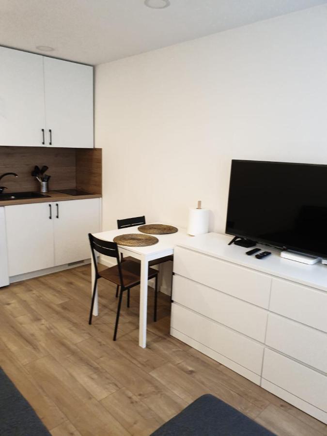 Studio Rent In Zarasai Extérieur photo