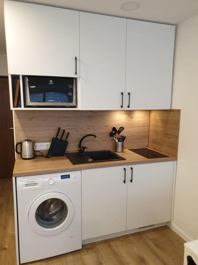 Studio Rent In Zarasai Extérieur photo